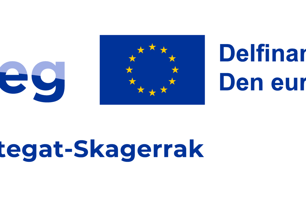 Logo Interreg DOKS
